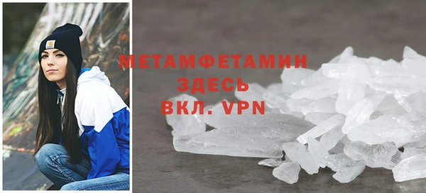 ПСИЛОЦИБИНОВЫЕ ГРИБЫ Горняк