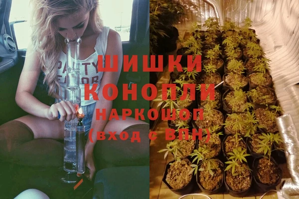 ПСИЛОЦИБИНОВЫЕ ГРИБЫ Горняк
