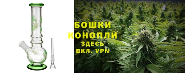 ПСИЛОЦИБИНОВЫЕ ГРИБЫ Горняк