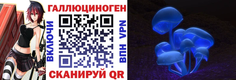 Псилоцибиновые грибы Cubensis  Купить закладки  Бугуруслан 